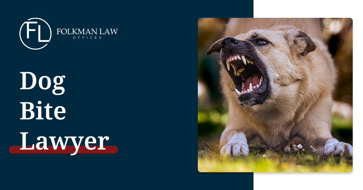 Cherry Hill Dog Bite Lawyer